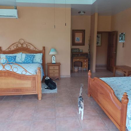 Gone Fishing Panama Resort Бока Чика Екстериор снимка