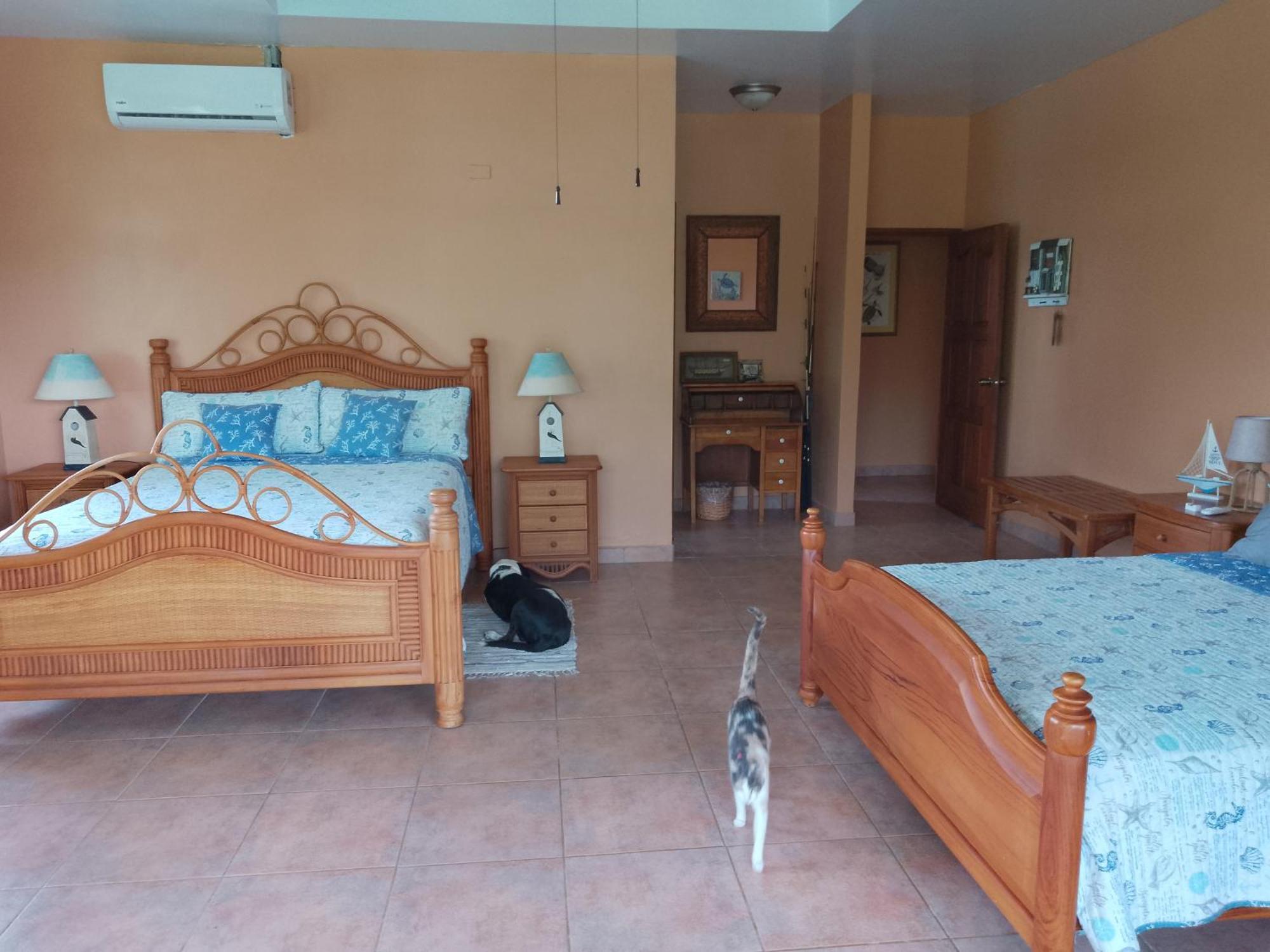 Gone Fishing Panama Resort Бока Чика Екстериор снимка
